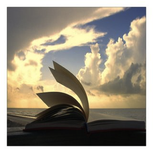 Stacks Image 11